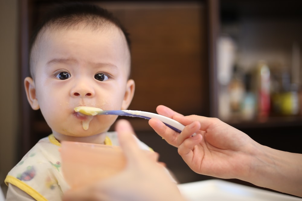 Can Baby Food Cause Autism? Separating Fact from Fiction