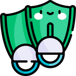 Swimming Fins