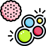 Sensory Toys