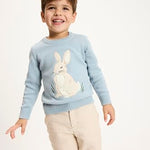 Gymboree,Boys,and Toddler Embroidered Pullover Sweater,Dusty Robin Bunny,6