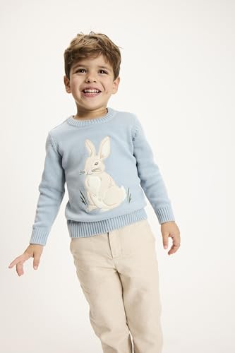 Gymboree,Boys,and Toddler Embroidered Pullover Sweater,Dusty Robin Bunny,6