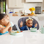 NUK Silicone Baby Suction Plates, Durable Suction Feature Helps Reduce Spills, Microwave & Dishwasher Safe, BPA-Free, Pack of 2