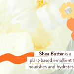 Babo Botanicals Sensitive Baby Fragrance-Free Diaper Rash Cream Spray - No touch, mess-free application - 14.9% Zinc Oxide - Shea Butter, Olive Oil & Aloe Vera - For Babies – 3fl.oz.