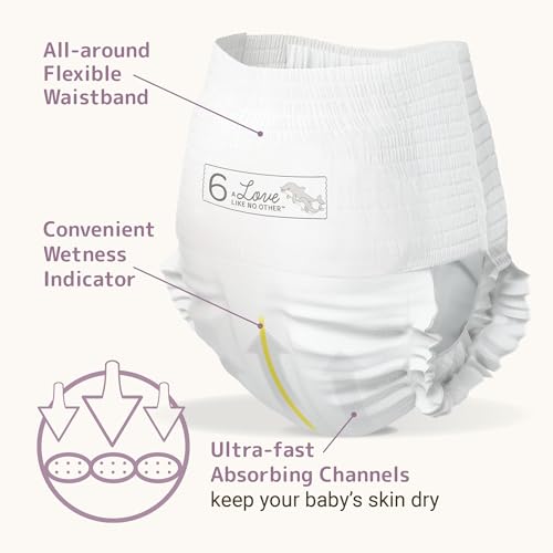 Bambo Nature Hypoallergenic Training Pants, Eco-Labeled Training Pants, Totally Chlorine-Free - Size 6 (19 Count)