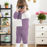 2T 3T Girl Clothes Long Sleeve Purple Shirts Knit Pants Soft Leggings Little Girl 2 Piece Cute Outfit Toddler Fall Winter Clothes
