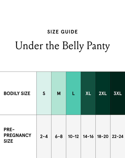 Bodily Under the Belly Panty, Low-Rise Maternity, Postpartum & Pregnancy Underwear, Soft, Stretchy & Comfortable for Transformations of Pregnancy, (Medium)