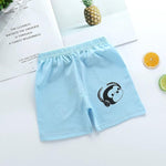 Vagefun Toddler Baby Boy Shorts Cotton Dinosaur Summer Clothes for Kids 6M-5T