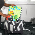 Baby Einstein Discovery Garden Tummy Time Mat & Mirror, Ages 0-6 Months, Multisensory