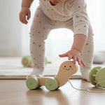 Pearhead Wooden Turtle Push and Pull Toy, Montessori Shake and Rattle Shell, Baby Walking and Gross Motor Development Learning, Pull Along Car Toy, Ages 12m+