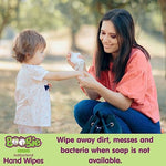 Boogie Antibacterial Hand Wipes by Boogie, Alcohol Free, Hypoallergenic and Moisturizing Aloe, Hand Wipes for Kids and Adults -100 Total Wipes (5 Packs of 20)