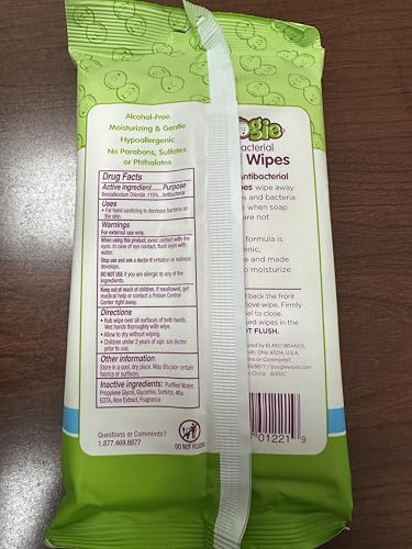 Boogie Antibacterial Hand Wipes by Boogie, Alcohol Free, Hypoallergenic and Moisturizing Aloe, Hand Wipes for Kids and Adults -100 Total Wipes (5 Packs of 20)