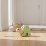 Pearhead Wooden Turtle Push and Pull Toy, Montessori Shake and Rattle Shell, Baby Walking and Gross Motor Development Learning, Pull Along Car Toy, Ages 12m+