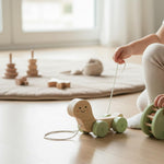 Pearhead Wooden Turtle Push and Pull Toy, Montessori Shake and Rattle Shell, Baby Walking and Gross Motor Development Learning, Pull Along Car Toy, Ages 12m+