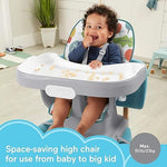 Fisher-Price Baby to Toddler High Chair SpaceSaver Simple Clean Portable Dining Seat & Booster with Washable Deep Tray & Liner, Pacific Pebble