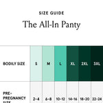 Bodily The All-In Panty, Maternity, Postpartum & C-Section Underwear, High Waisted, Soft, Stretchy & Comfortable for Pregnancy & Postpartum (Medium, 3pk, Black/Clay/Clay)