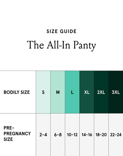 Bodily The All-In Panty, Maternity, Postpartum & C-Section Underwear, High Waisted, Soft, Stretchy & Comfortable for Pregnancy & Postpartum (Medium, 3pk, Black/Clay/Clay)