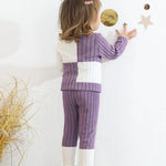 2T 3T Girl Clothes Long Sleeve Purple Shirts Knit Pants Soft Leggings Little Girl 2 Piece Cute Outfit Toddler Fall Winter Clothes