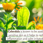 Babo Botanicals Moisturizing Oat & Calendula Body Lotion - For Dry or Sensitive Skin - For all ages - Vegan - Lightly Scented