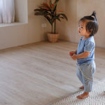 PlanToys Push & Pull Puppy (5724)