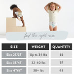 The Honest Company Clean Conscious Training Pants for Sensitive Skin, Hypoallergenic, Fragrance-Free, Magical Moments Butterfly Kisses, Size 4T/5T (38 lbs), 48 Count