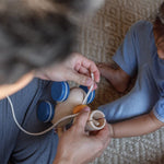 PlanToys Push & Pull Puppy (5724)