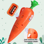 Kids Carrot Recorder Toy Ballpoint Pen Writing Tool with 20s Playback Feature for Children Learning