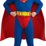 Rubies DC Comics Superman Toddler Costume for Themed Parties and Halloween