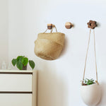 WONQEXZ Wall Hook,Child Baby Nursery Wood Wall Hook,Natural Biscuit Coat Hooks,Wooden Hooks,Children Wall Mounted Hook,Set of 6