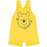 Disney Winnie the Pooh Baby Boys 3 Piece Outfit Set: Overalls T-Shirt Hat 6-9 Months