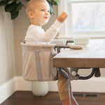 Regalo Easy Dinner Hook-On High Chair, Portable Clip-On Baby High Chair for Table, Foldable Travel High Chair with Storage Pocket, Rubber Grips to Protect Surfaces
