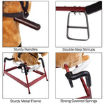 Spring Rocking Horse - Plush Bouncy Ride-On Toy with Fun Sounds, Wood Handles, and Adjustable Stirrups for Kids Ages 3 to 6 by Happy Trails (Brown)