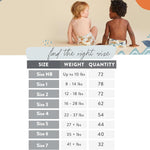 The Honest Company Clean Conscious Diapers for Sensitive Skin | Hypoallergenic, Fragrance Free | Spring '25 Limited Edition Prints | Club Box, Size 2 (12-18 lbs), 72 Count