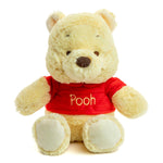 Plush bear wearing a red shirt with 'Pooh' on it against a white background