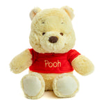 Plush bear toy wearing a red shirt with 'Pooh' on it on a white background
