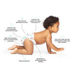 Hello Bello Premium Overnight Baby Diapers Size 3, 24 Count, Unisex, Ultra Absorbent and Soft Disposable Diapers for Babies and Toddlers