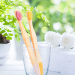 NUDUKO Kids Toothbrush Bamboo Toothbrushes 6 Pack - Organic Compostable Tooth Brush Wooden Baby Toddler Toothbrush, Eco-Friendly Natural Biodegradable Soft Bristle Toothbrush for Children