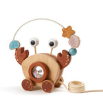 Pull-Along Walking Toys for Babies 12 Months +,4 in 1 Push and Pull Toy for Toddlers Aged 1-2 and 3-4 Years Old, Wooden Baby Toys, Montessori Early Development Sensory Toy