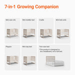 MAMAZING EvoNook 6-in-1 Convertible Mini Crib, 100% New Zealand Wood, Portable Mini Cribs with Wheels for Small Spaces, GREENGUARD Gold Certified, Washed Natural