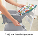 Fisher-Price Baby to Toddler High Chair SpaceSaver Simple Clean Portable Dining Seat & Booster with Washable Deep Tray & Liner, Pacific Pebble