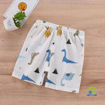 Vagefun Toddler Baby Boy Shorts Cotton Dinosaur Summer Clothes for Kids 6M-5T