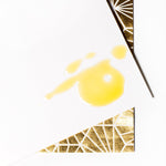 Bump Gloss Stretch Mark Belly Oil | Non-greasy for Stretch Mark Prevention | Increases Skin Elasticity | Toxin-free |