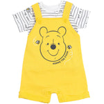 Disney Winnie the Pooh Baby Boys 3 Piece Outfit Set: Overalls T-Shirt Hat 6-9 Months