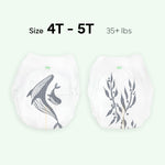 Parasol Chlorine Free Disposable Diaper Pants, Size 6 (4T-5T) 72 Count, Pull On Style with RashShield Protection and Active 360 Comfort Wrap, Hypoallergenic Training Diaper