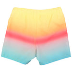 RUGGEDBUTTS Boys UPF50+ Sun Protection Striped Color Block Swim Trunks - Beach Paradise, 2T