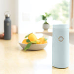 Lifefactory Stainless Steel Vacuum-Insulated Tumbler, 16 Ounce, Mint