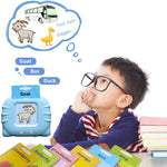 Talking Flash Cards for Toddler 1 2 3 4 Year Olds, Language Learning Toys, Pocket Speech Therapy Toys, Autism Toys, Montessori Toys with 224 Words, Children's Sensory Learning Educational Toys
