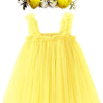 BGFKS Layered Tulle Tutu Dress for Toddler Girls,Baby Girl Rainbow Tutu Princess Skirt Set with Flower Headband.