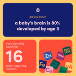 Cerebelly Organic Baby Food Pouches, Carrot Pumpkin Purees, 16 Nutrients, No Added Sugar, Fiber & Non-GMO, 4oz, 12 Pack