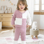 2T 3T Girl Clothes Long Sleeve Purple Shirts Knit Pants Soft Leggings Little Girl 2 Piece Cute Outfit Toddler Fall Winter Clothes