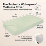 2-Pack Waterproof Crib Mattress Protector Cover Fitted - Quiet Baby Crib Mattress Pad Sheets, 52" x 28" Soft Quilted Cotton Baby Sheet, Machine Washable, Easy Fit, Durablee (Sage/Mavy)